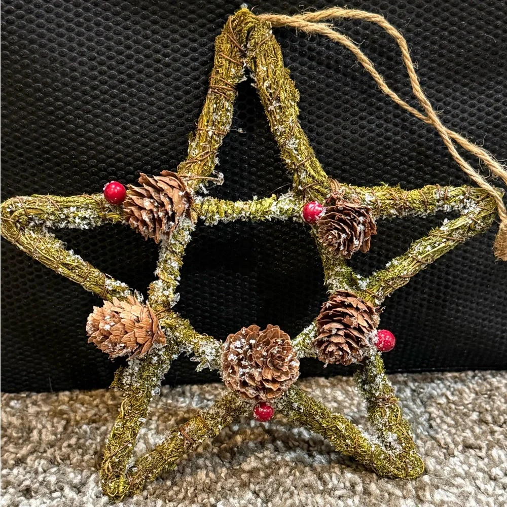 Pier 1 Rustic Twig Star & Snowflake Ornaments Michaels Fruit Pick Set of 5